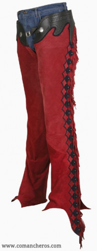 Chaps gara da Reining